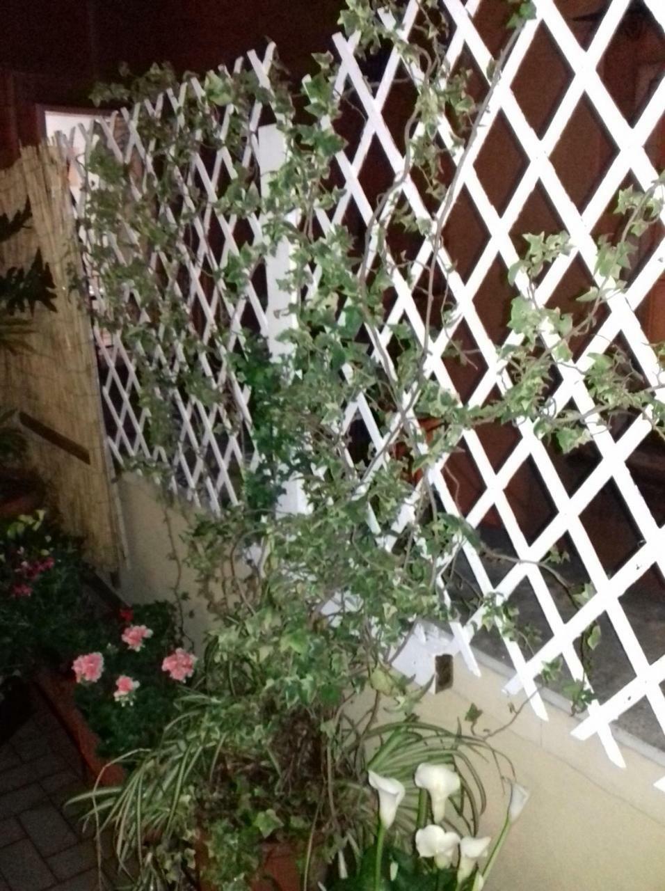 مبيت وإفطار نابولي La Terrazza Di Dante المظهر الخارجي الصورة